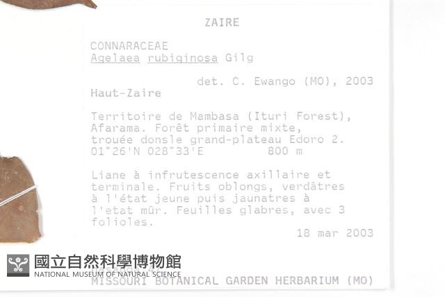 登錄號:S093702藏品圖，第3張