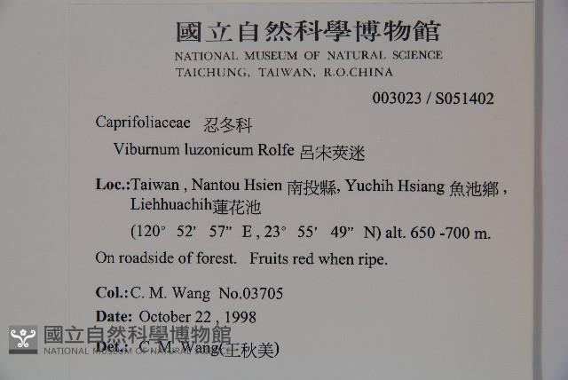 呂宋莢迷藏品圖，第2張