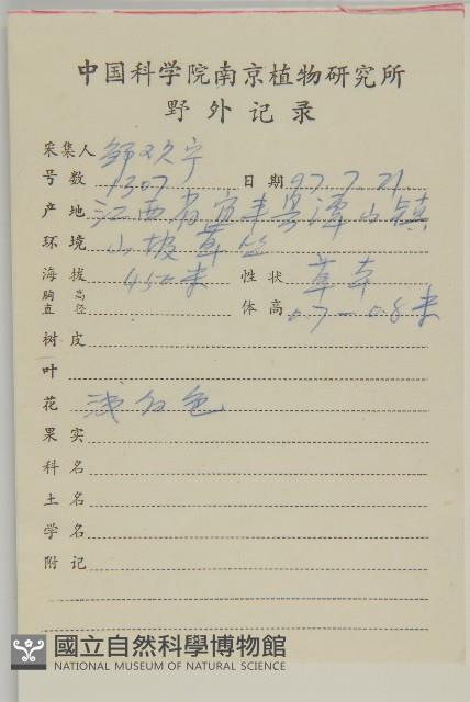 加拿大蓬藏品圖，第2張