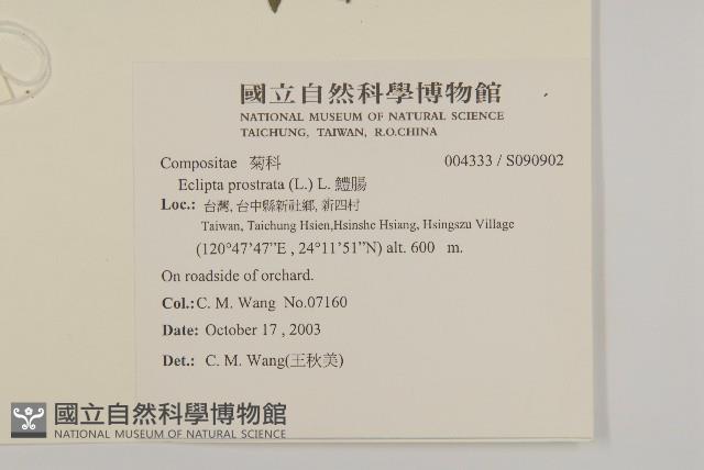 鱧腸藏品圖，第2張