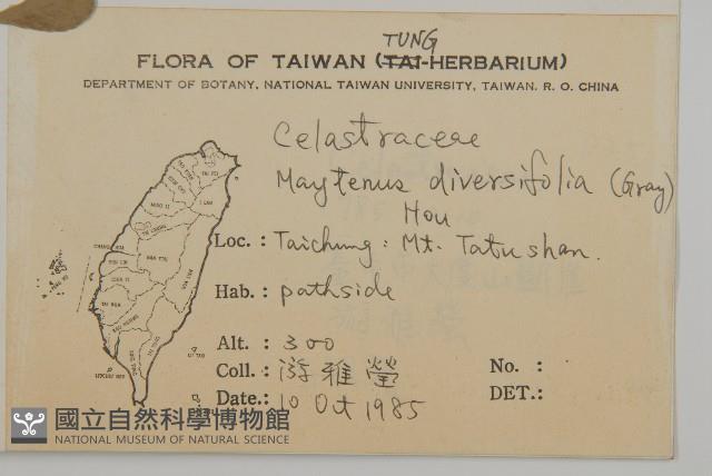 北仲, 刺裸實藏品圖，第2張