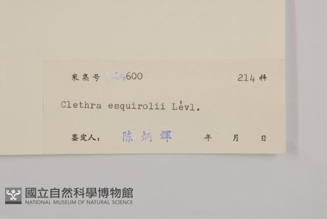 南嶺山柳藏品圖，第3張