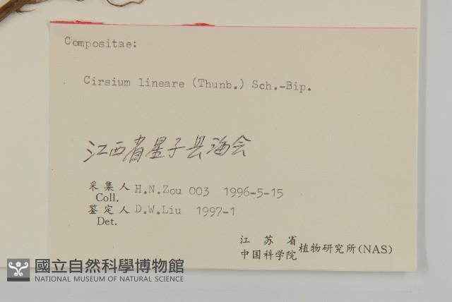 華薊藏品圖，第3張