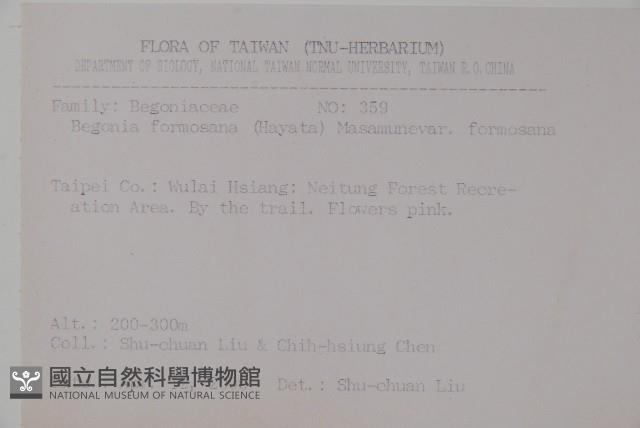 水鴨腳藏品圖，第2張