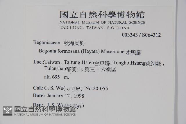 水鴨腳藏品圖，第2張