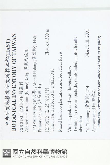 黑果馬交兒藏品圖，第2張