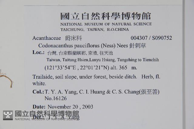 針刺草藏品圖，第2張