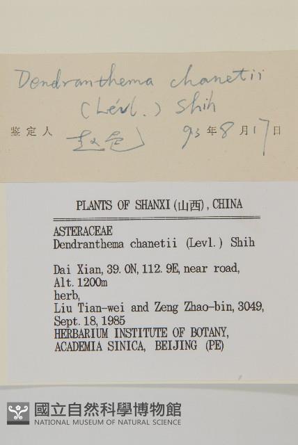 小紅菊藏品圖，第3張