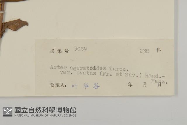 登錄號:S045952藏品圖，第3張