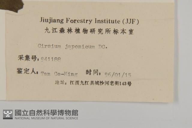 小薊藏品圖，第3張