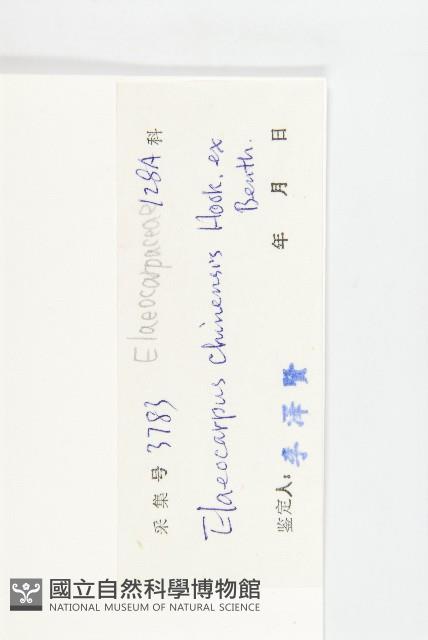 華杜英藏品圖，第3張