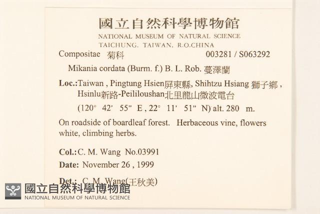 蔓澤蘭藏品圖，第2張