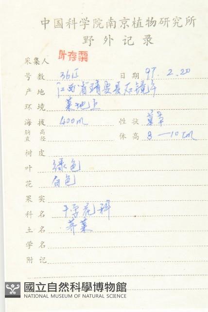 薺藏品圖，第2張