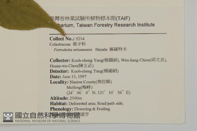 佩羅特木藏品圖，第2張