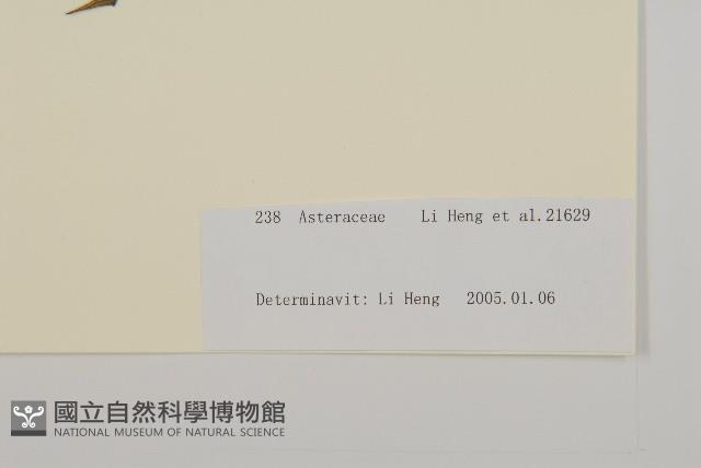 登錄號:S105892藏品圖，第3張