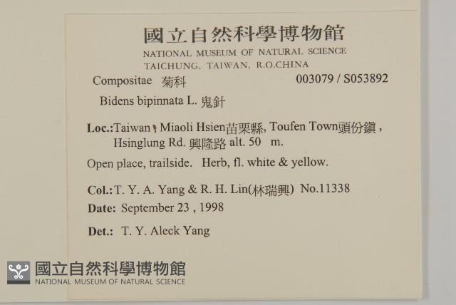 鬼針藏品圖，第5張