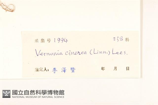 一枝香藏品圖，第3張