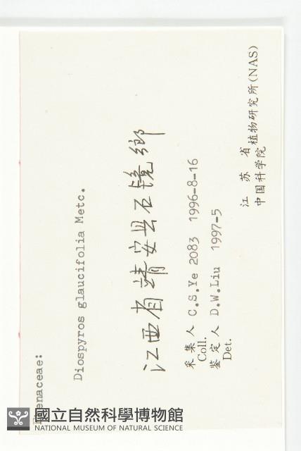 浙江柿藏品圖，第3張