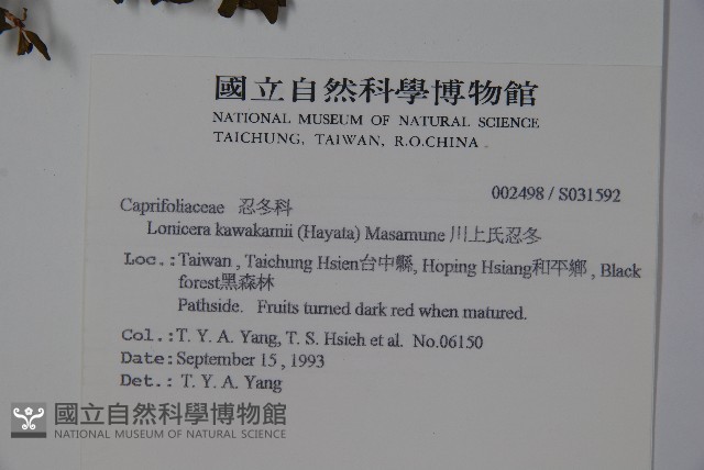 川上氏忍冬藏品圖，第2張