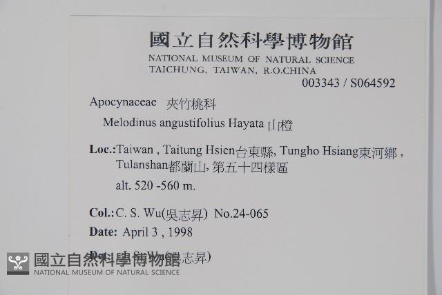 山橙藏品圖，第2張