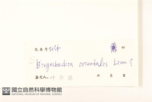 豨簽藏品圖，第3張