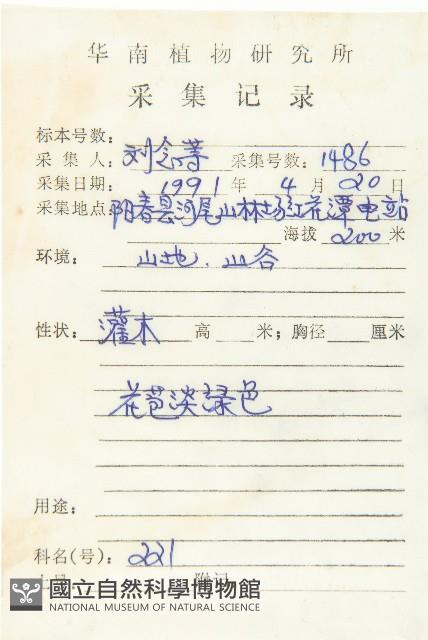 山紅柿藏品圖，第2張