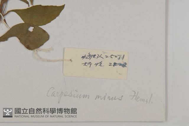 細川氏天名精藏品圖，第3張