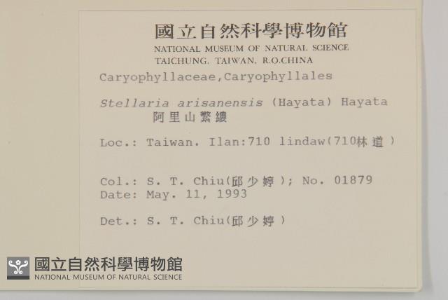 阿里山繁縷藏品圖，第2張