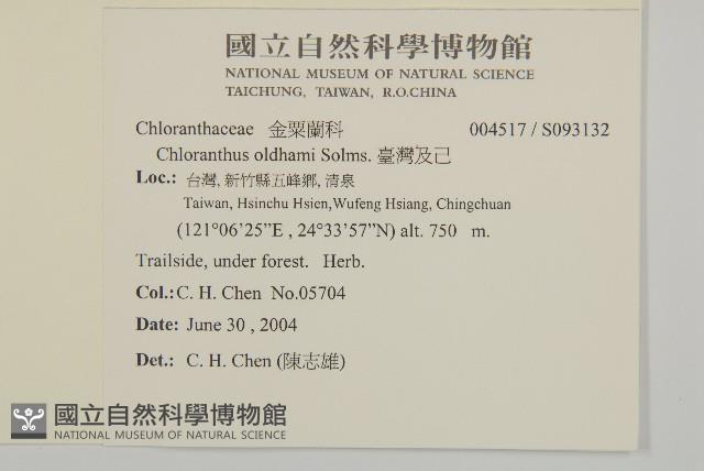 臺灣及己藏品圖，第2張