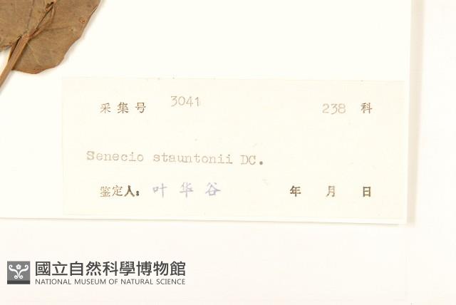 閩粵千里光藏品圖，第3張