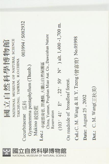 絞股藍藏品圖，第2張