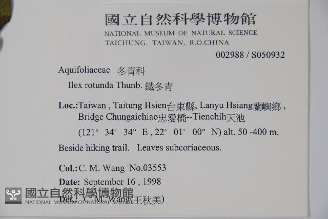 鐵冬青藏品圖，第2張