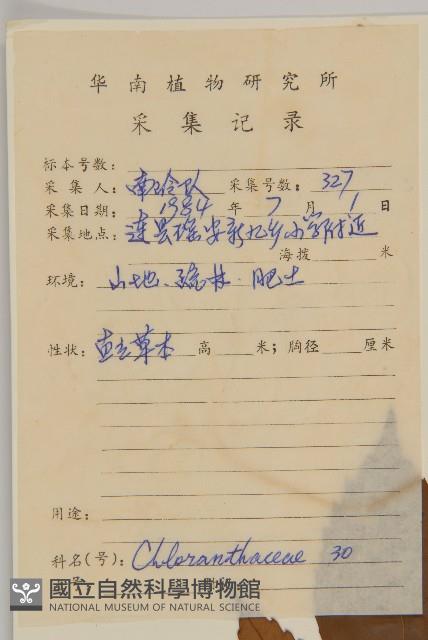 草珊瑚、紅果金粟蘭藏品圖，第2張