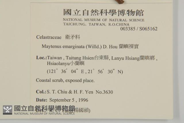 蘭嶼裸實藏品圖，第2張