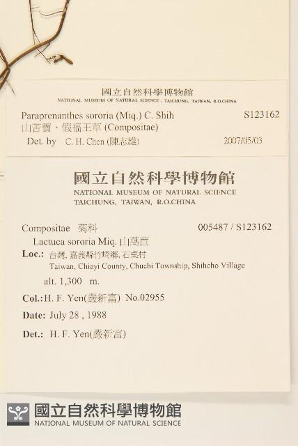 Accession Number:S123162 Collection Image, Figure 3, Total 3 Figures