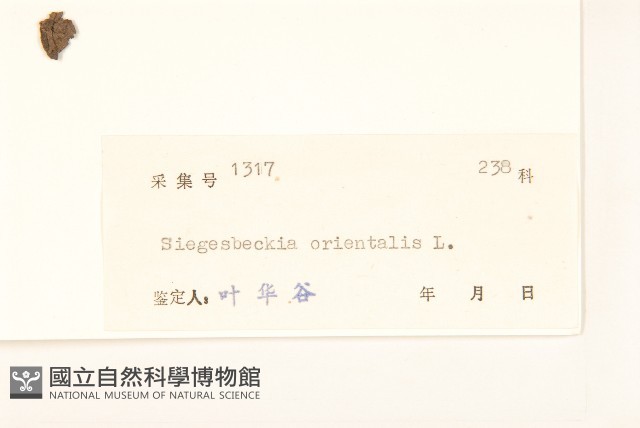 豨簽藏品圖，第3張