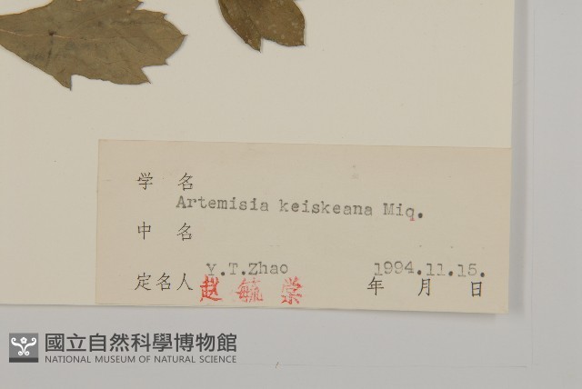 庵蒿藏品圖，第3張