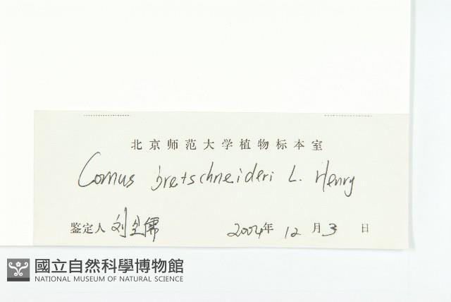 沙棶藏品圖，第3張