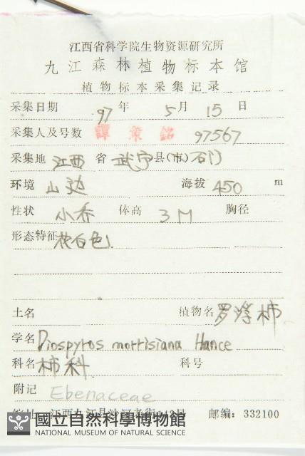 山紅柿藏品圖，第2張