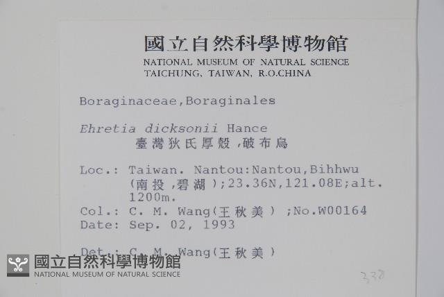 破布烏藏品圖，第2張