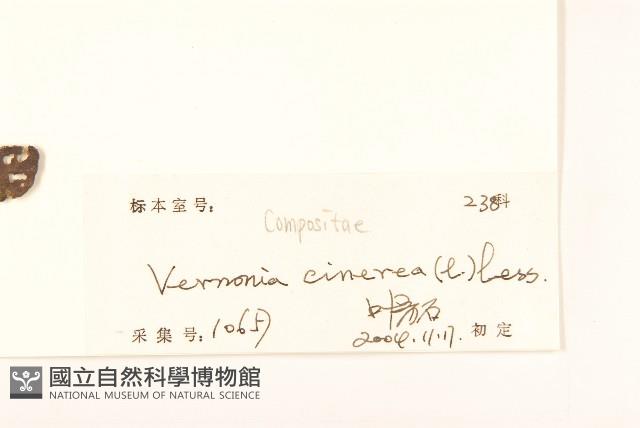 一枝香藏品圖，第3張