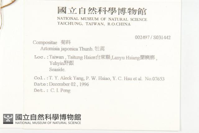 牡蒿藏品圖，第2張