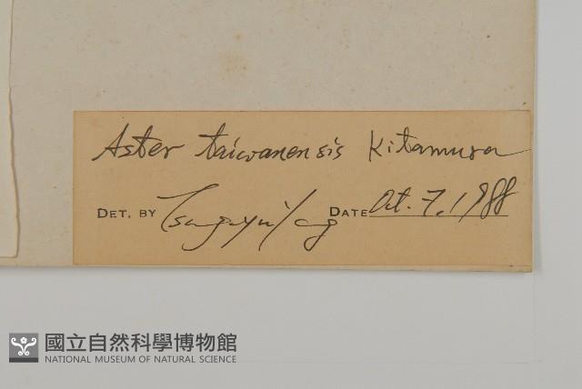 臺灣馬蘭藏品圖，第3張