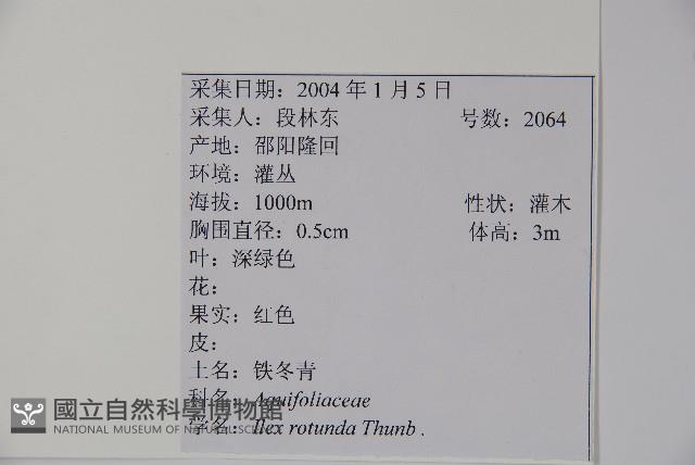 鐵冬青藏品圖，第2張