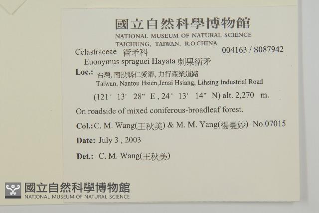 刺果衛矛藏品圖，第2張