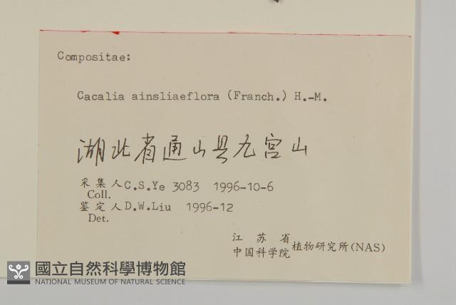 兔兒風蟹藏品圖，第3張