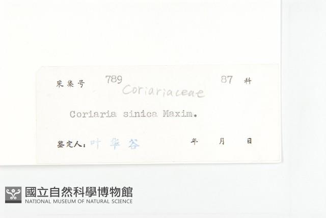 馬桑藏品圖，第3張