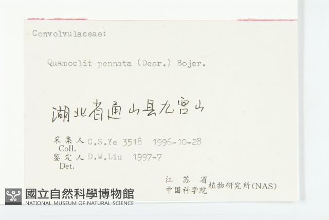 Accession Number:S055682 Collection Image, Figure 3, Total 3 Figures