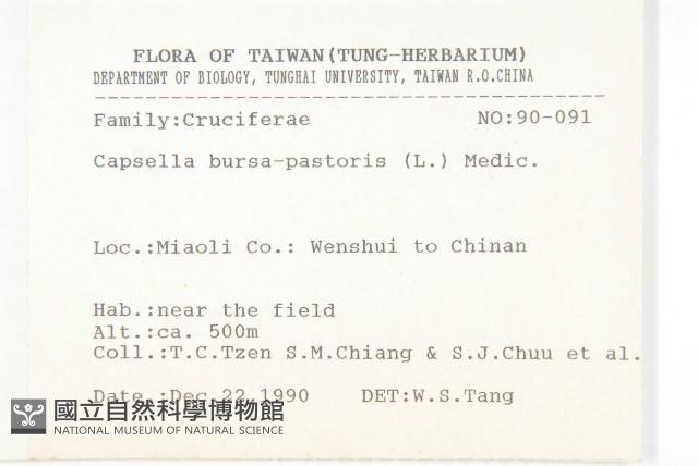 薺藏品圖，第2張