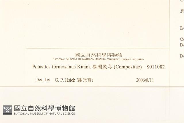 臺灣款冬藏品圖，第3張